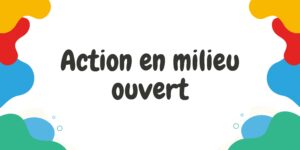Action en Milieu Ouvert (AMO)